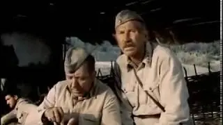 мал клоп