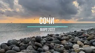 Отпуск в Сочи (Адлер). Март 2022