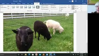 Special Effects for your Photos Using Microsoft Word