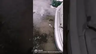 да мне похуй саншайн