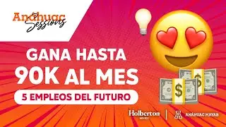 Las 5 áreas de trabajo de un programador mejor pagadas | Anáhuac Mayab