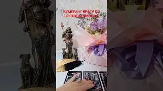 БУМЕРАНГ ВРАГУ ПО СПРАВЕДЛИВОСТИ 