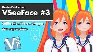 Calibration des Expressions dans Vseeface - Tutoriel VSeeFace FR #3 [ Vtuber FR ]