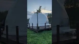 Что за…