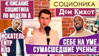 ДОН КИХОТ (ИЛЭ). ОПИСАНИЕ ПСИХОТИПА ПО МОДЕЛИ А. ПОЛЕМИСТ. ГЕНЕРАТОР. 