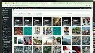 FEEDLY Post to WordPress Blogpost Generation with Zapier Automation Zap Integration Live Test 2024