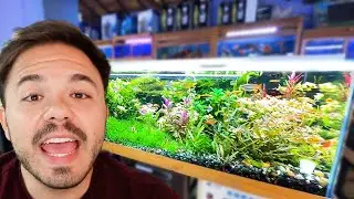 FISH STORE TOUR IN COLOMBIA!