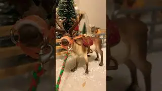 Me having fun whit my frindly raindeer Rudolf