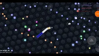 Playing in Slitherio