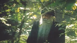 ОШО  Тайна тайн  Глава 8   Настоящее   это навсегда