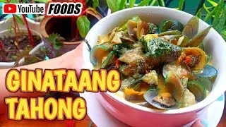 GINATAANG TAHONG | Easy Ginataang Tahong Recipe | How to Cook