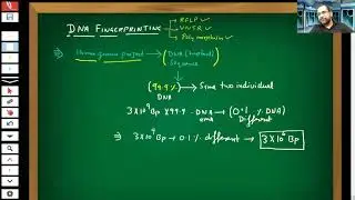 DNA fingerprinting
