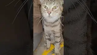 Пошли в парк бегать