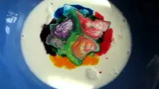 Colorful Milk Experiment for Kids