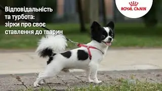 Віра Кекелія про свого собаку: «Це справжній антидепресант»