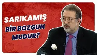 What Happened in Sarıkamış? Murat Bardakçı Explained