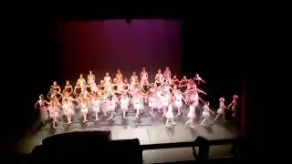 Gala 2011 - Final