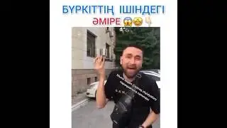 Буркит Жанды дауыс Амре