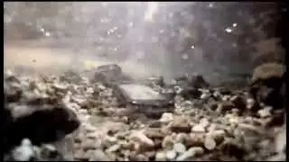 Commando Phone- Adventure