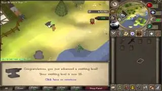 Custom [RSPS] DreamScape - Hardcore to Max #8 - Skilling!
