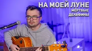 Мертвые Дельфины - На моей луне/ кавер