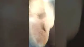 капибара флексит