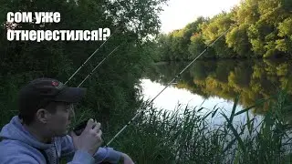 СОМЯТА УЧАТСЯ КЛЕВАТЬ | Реальная ночная рыбалка на сома