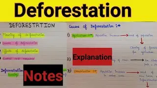 what is deforestation and its causes | deforestation causes and effects | deforestation | Ecosystem