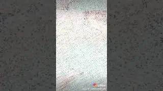 поставь лайк или он придёт