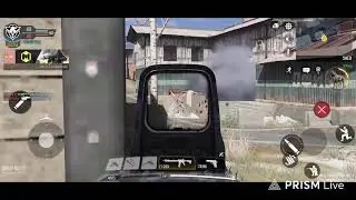 Live streaming of Mustang Cowboy