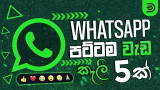 5 WhatsApp Tips, Tricks & Hacks You Should Try! Whatsapp New Updates 🔥Shocking WhatsApp New Features
