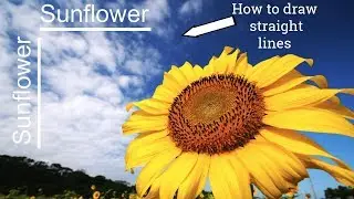 PhotoDirector Tips - How to Draw a Straight Line!