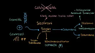 Şizofreni Nedir? (Psikoloji / Davranış) (Sağlık Bilgisi ve Tıp)
