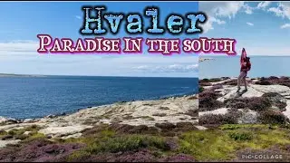 🤩HVALER-PARADISE IN THE SOUTH🌊 #beach #nature #norway