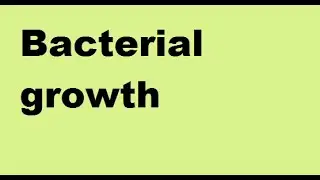 Bacterial growth curve