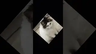 Мне продолжать так монтировать?