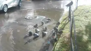 Чистота залог здоровья!👍😊
