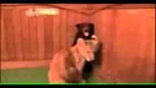 Напугали до усрачки