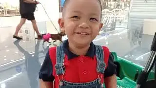 moa