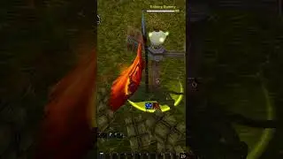 How to BURST as a Feral Druid in Cataclysm Classic PvP #shorts