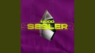 Sesler