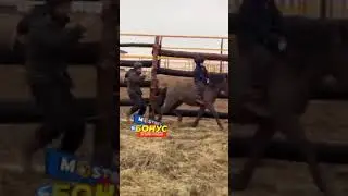 7 years old Kazakh boy riding a small horse without a saddle