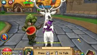 Wizard101: Let's Play Avalon: Part 4: Cute Little Panteras
