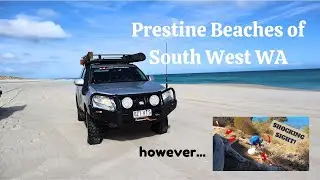 Family Adventure Takes a Turn: Shocking Finds on Australia’s Hidden Beaches!