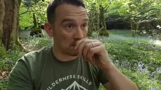 Update on a journey into bushcraft