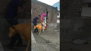 magic green screen 🤗 3d special effect ||  3d animation effect || technology emigration