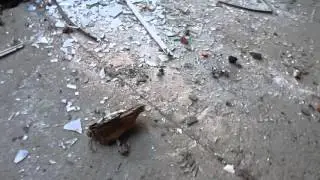 музей заброшка