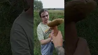 полный ПОЧТИ багажник белых грибов