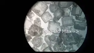 MICROSCÓPIO :Açúcar no microscópio . Sugar in the microscope. Сахар под микроскопом.