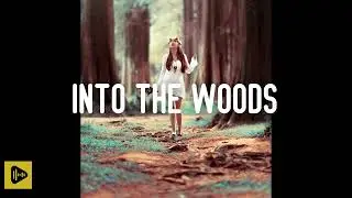 Into The Woods - [ Future Garage for Programming \ Coding \ Hacking ]